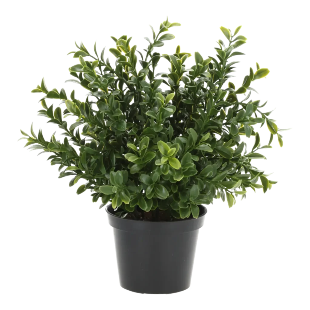 Kunstig buksbom busk H: 26 cm.