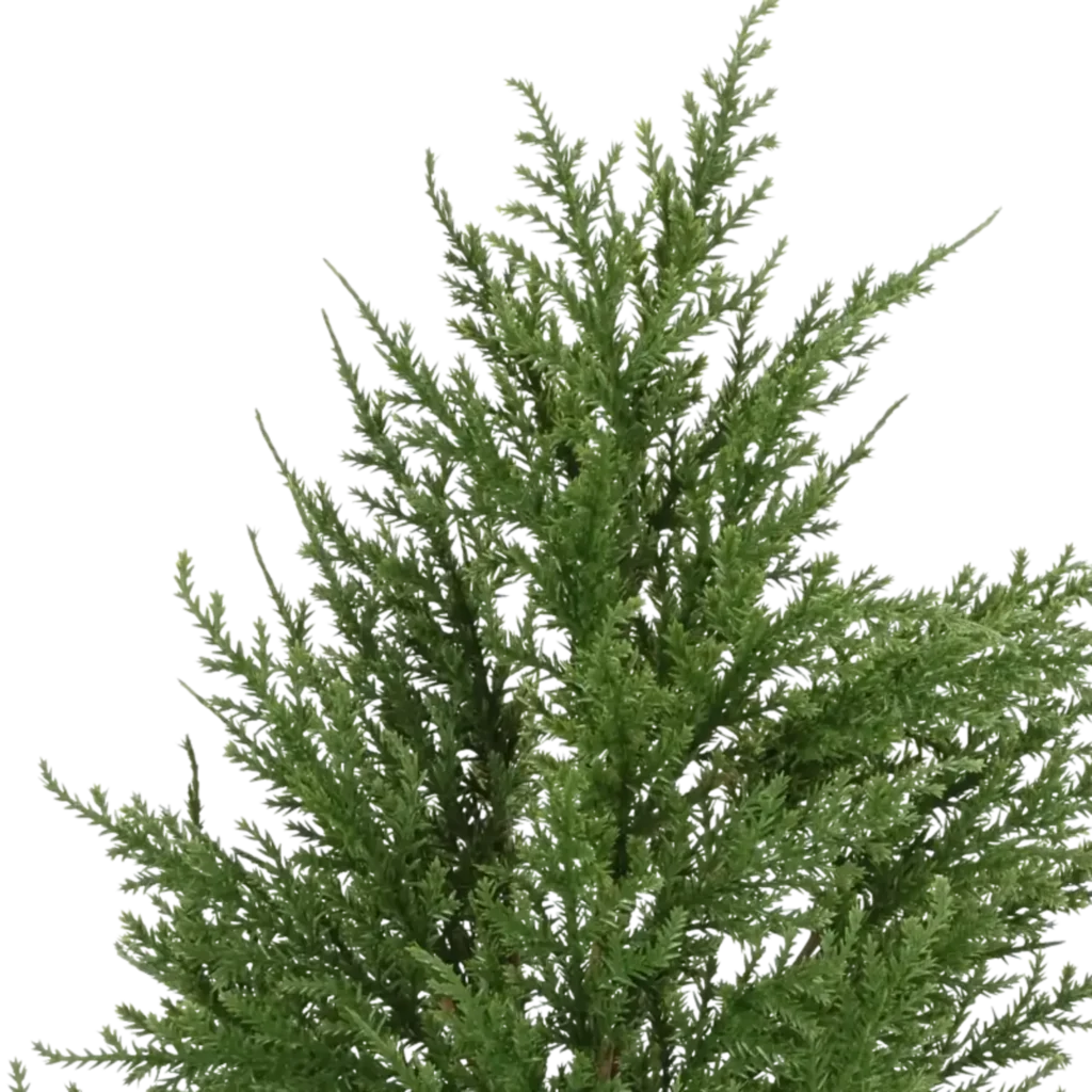 Closeup af Kunstig thuja busk - H: 55 cm.