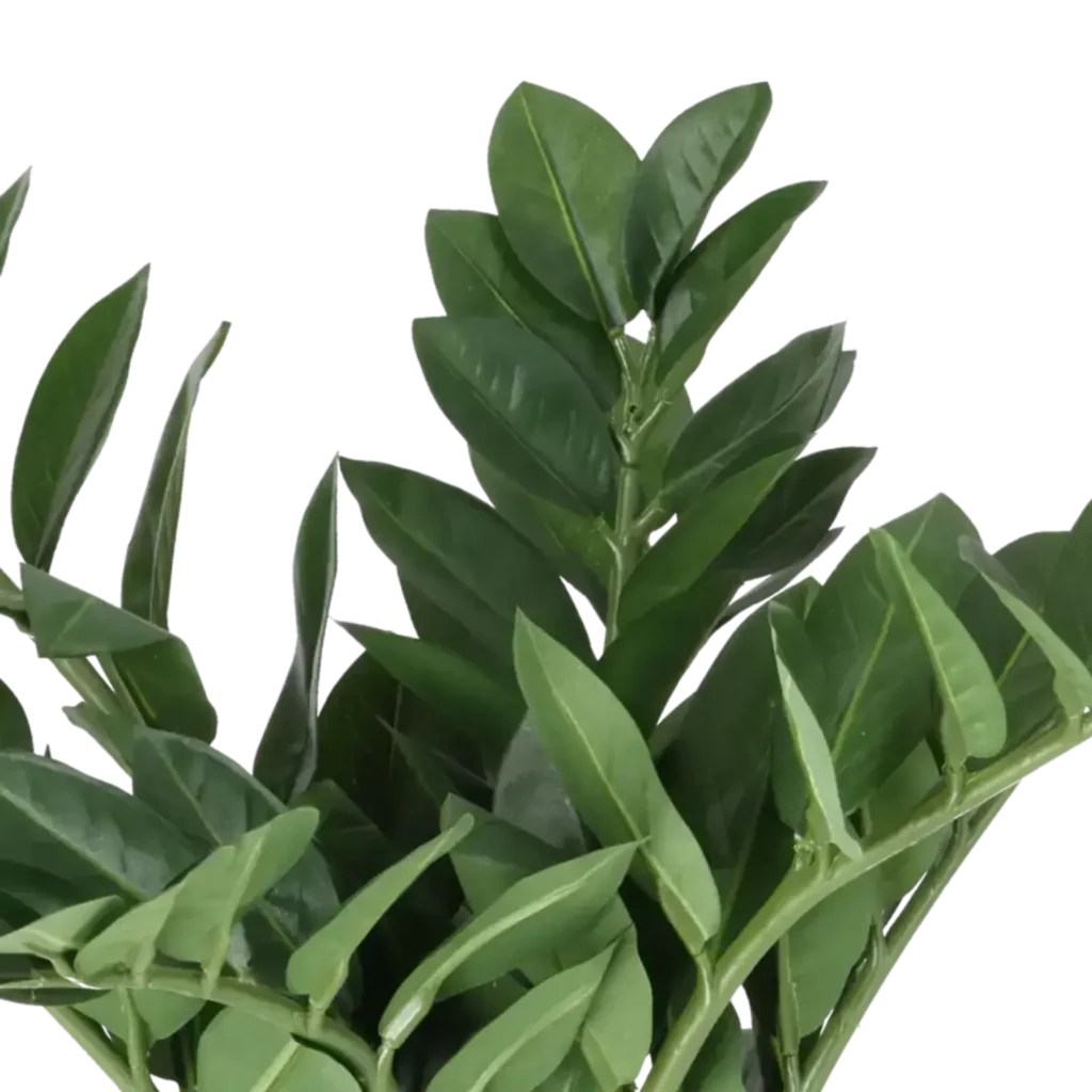Closeup af Kunstig Zamioculcas H: 45 cm.