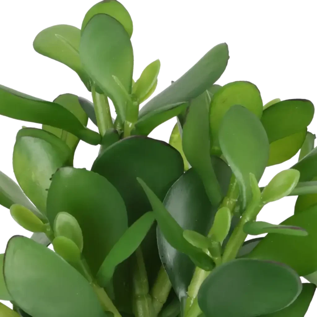 Closeup af Kunstig Money plante H: 25 cm.