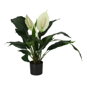 Kunstig Fredslilje H: 53 cm.