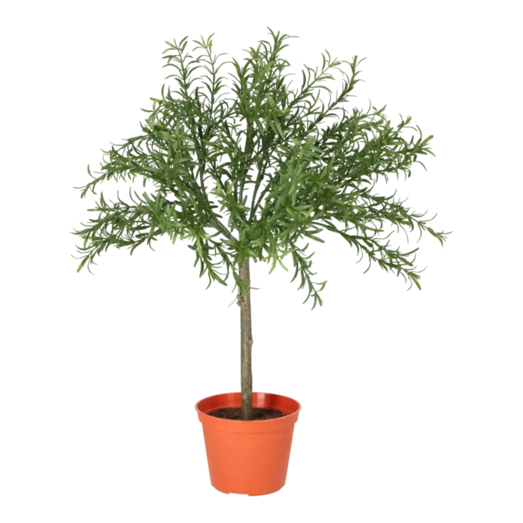 Kunstig Rosmarin H: 52 cm.