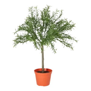 Kunstig Rosmarin H: 52 cm.