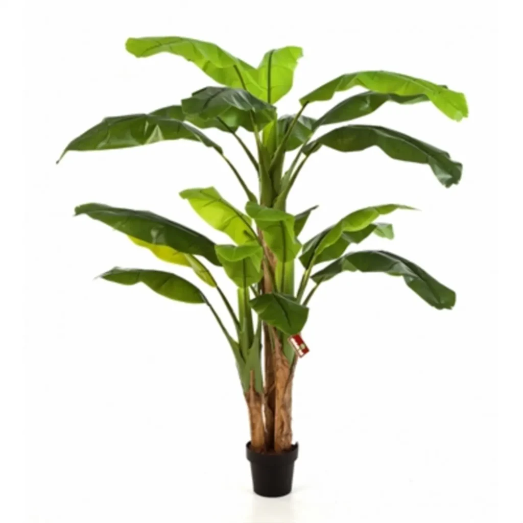 Kunstig Bananpalme H: 300 cm.