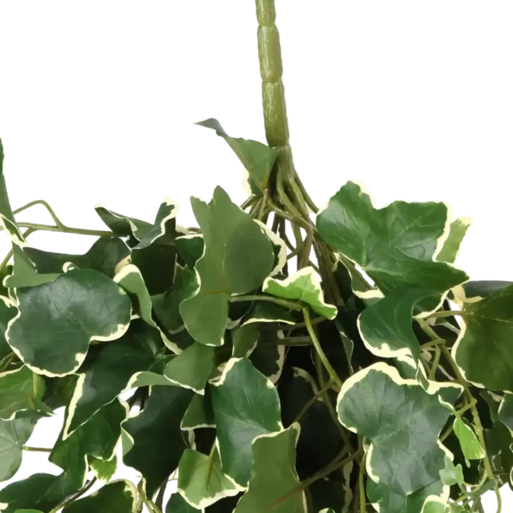 Closeup af Kunstig Efeu hængeplante L: 45 cm.