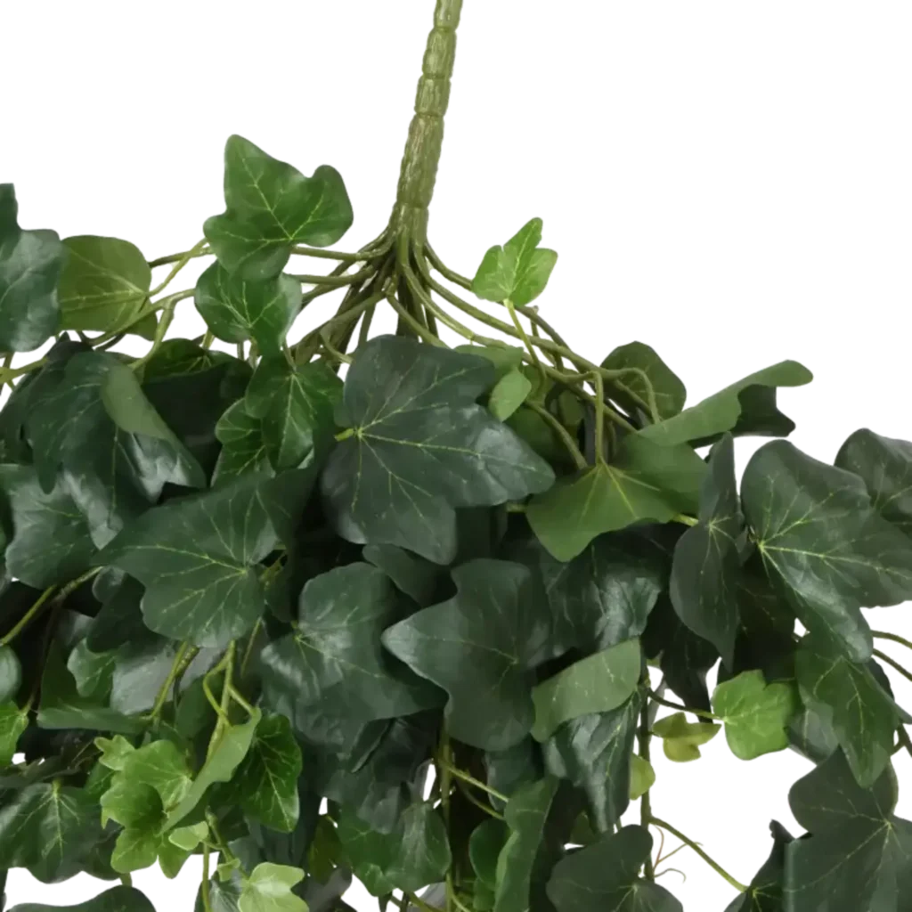 Closeup af Kunstig Efeu hængeplante L: 65 cm.
