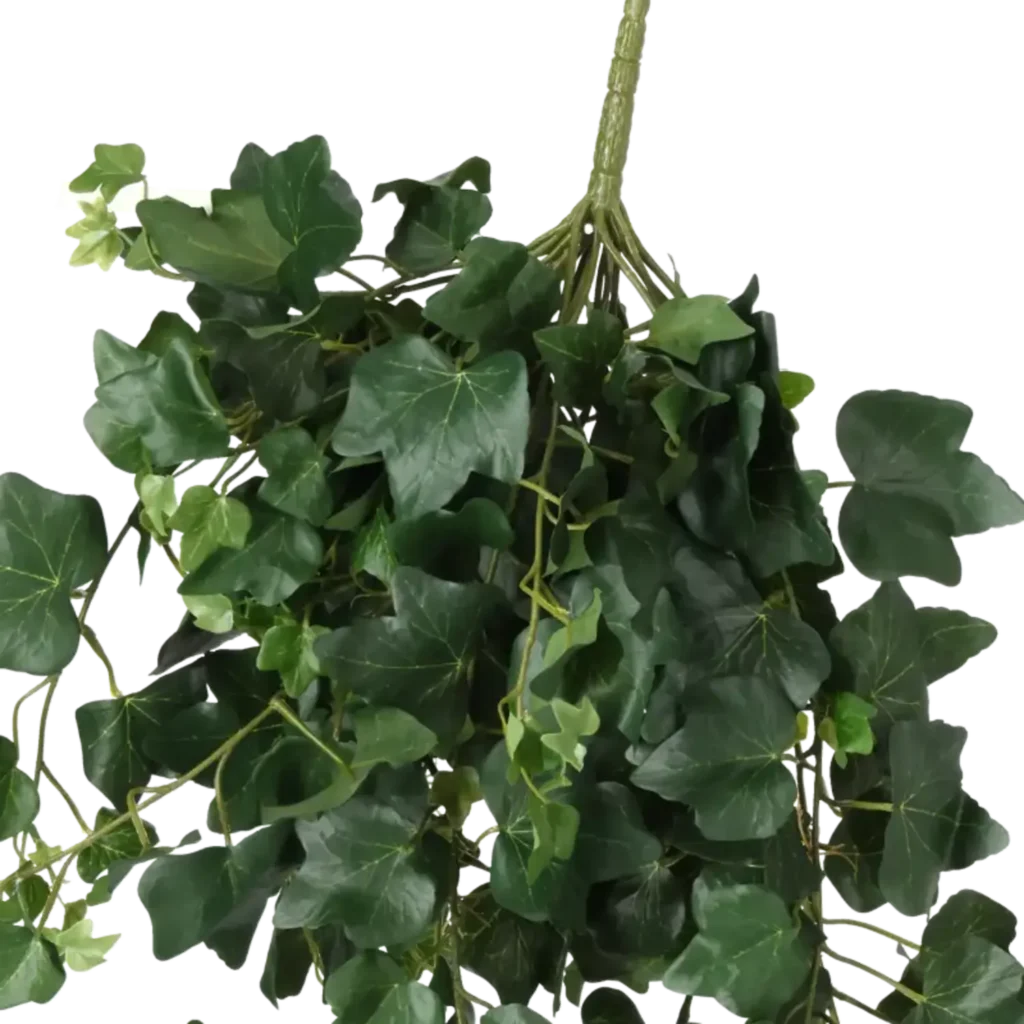 Closeup af Kunstig Efeu hængeplante L: 75 cm.