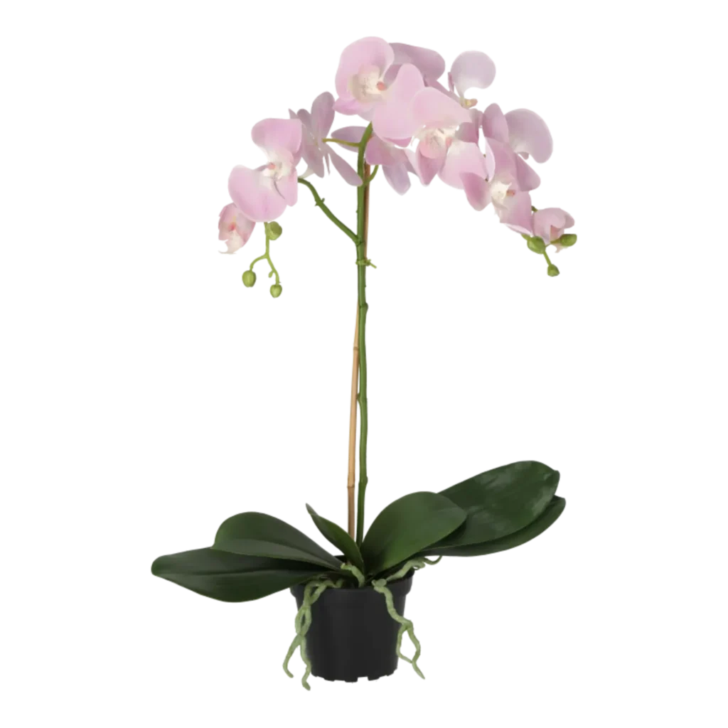 Kunstig Phalaenopsis Orkidé H: 60 cm.
