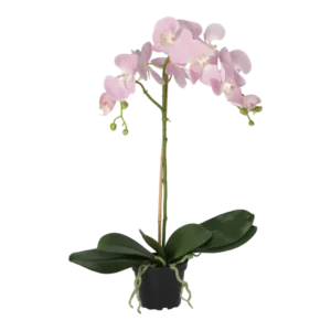 Kunstig Phalaenopsis Orkidé H: 60 cm.