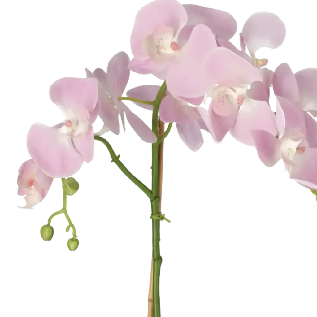 Closeup af Kunstig Phalaenopsis Orkidé H: 60 cm.