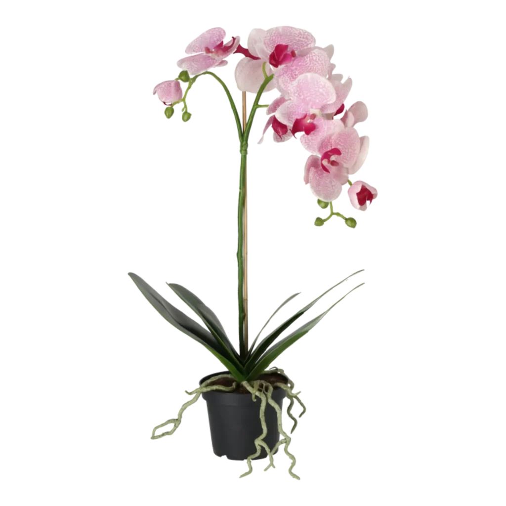Kunstig Phalaenopsis Orkidé H: 60 cm.