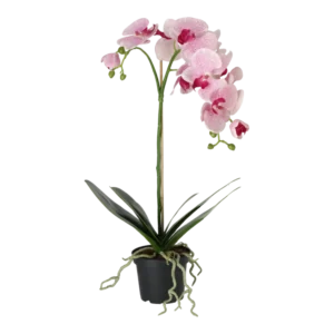Kunstig Phalaenopsis Orkidé H: 60 cm.
