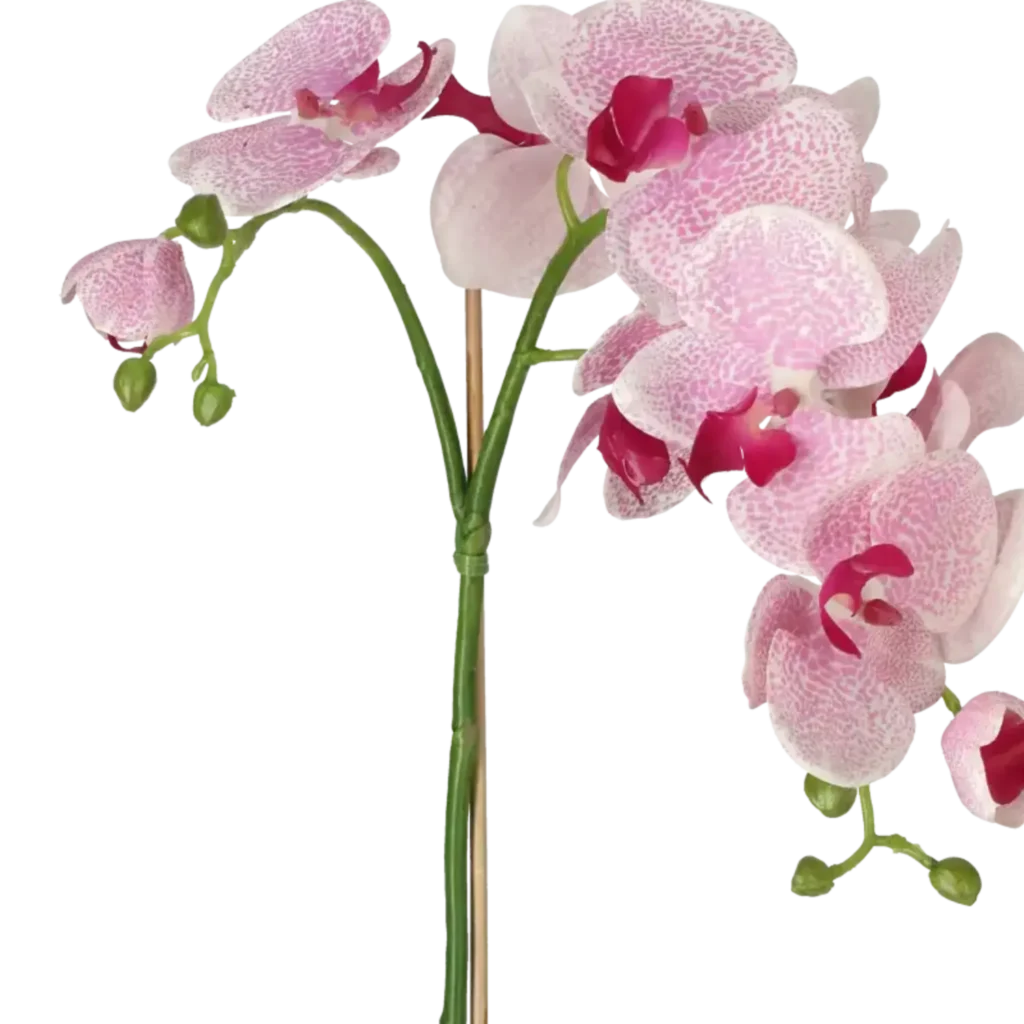 Closeup af Kunstig Phalaenopsis Orkidé H: 60 cm.