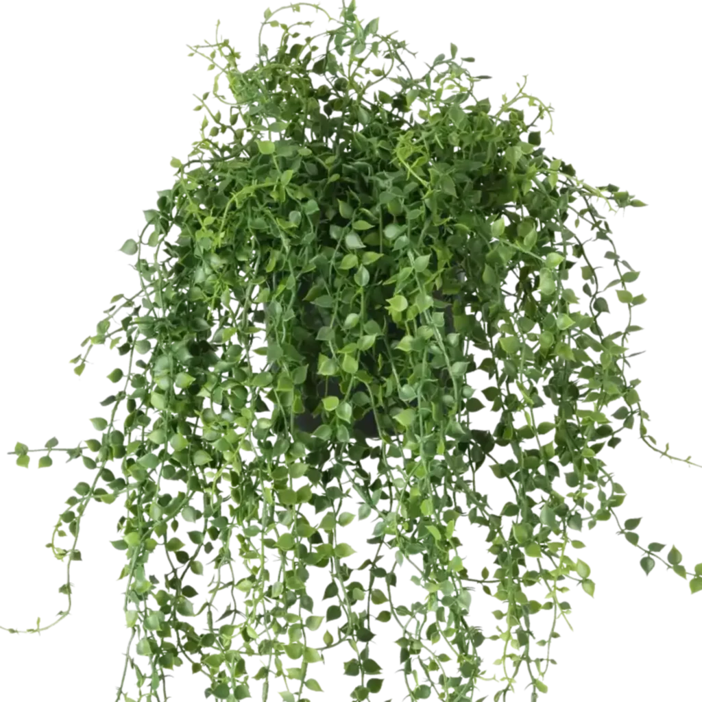 Closeup af Kunstig mini blad hængeplante L: 80 cm.