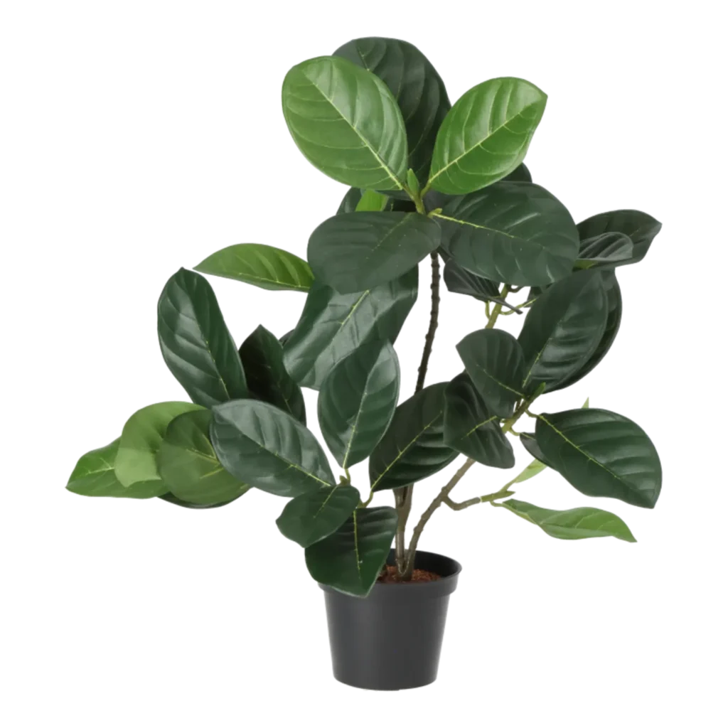 Kunstig Artocarpus Integer - H: 40 cm.