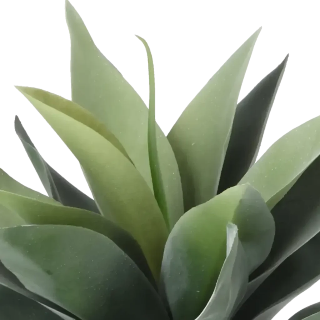 Closeup af Kunstig Agave H: 25 cm - UDGÅR.