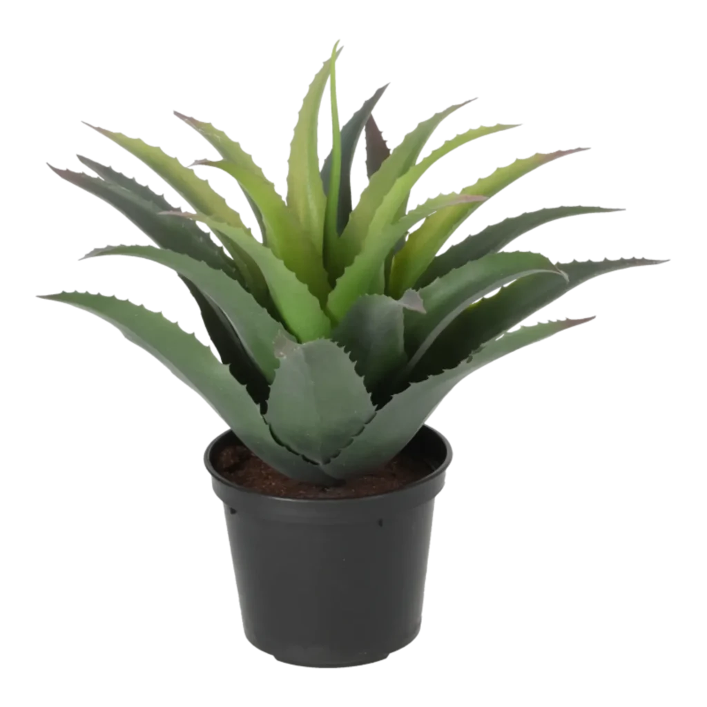 Kunstig baby agave - H: 25cm.