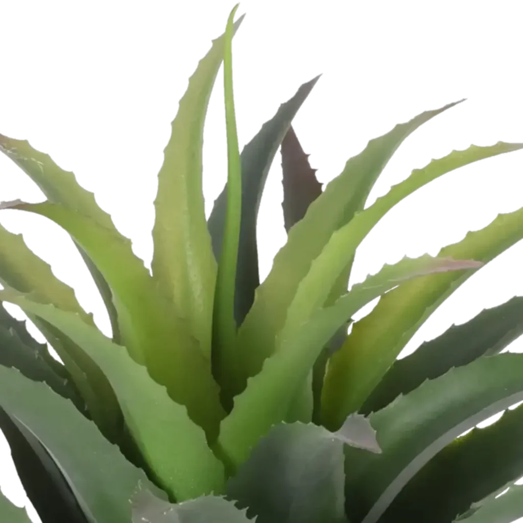 Closeup af Kunstig baby agave - H: 25cm.