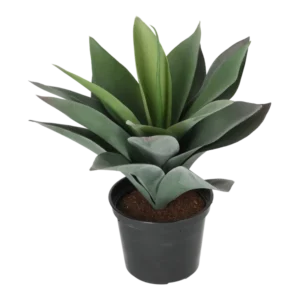 Kunstig baby Agave H: 25 cm.