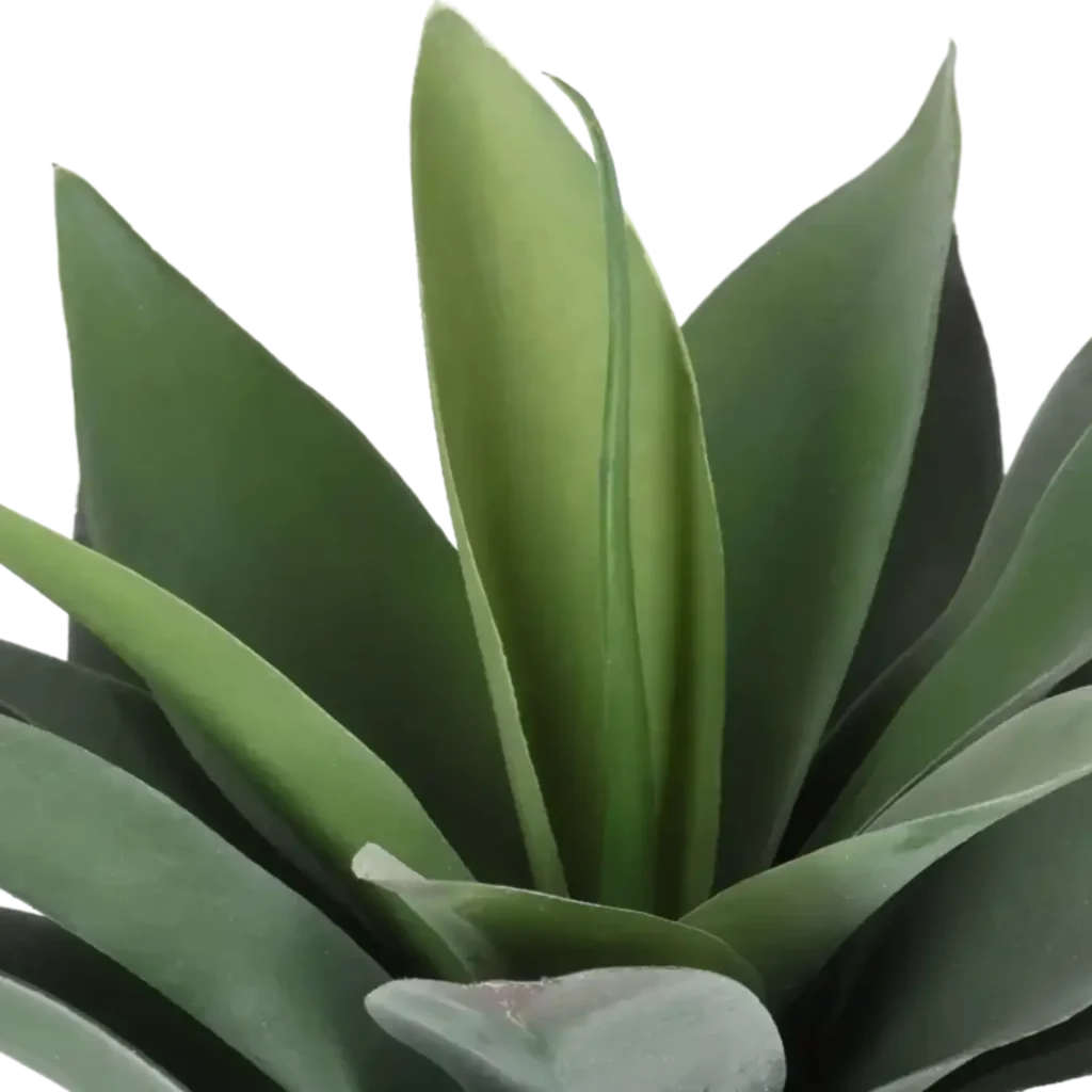 Closeup af Kunstig baby Agave H: 25 cm.