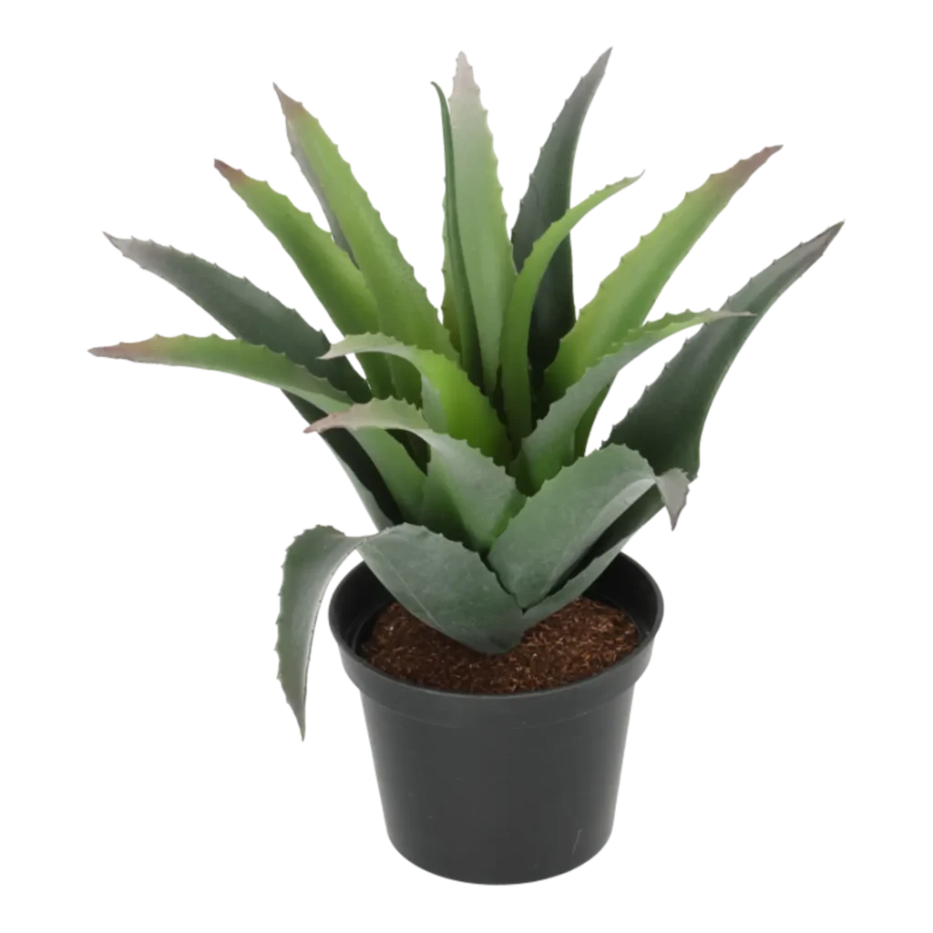 Kunstig baby agave - H: 23 cm.