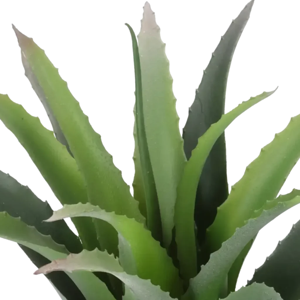 Closeup af Kunstig baby agave - H: 23 cm.
