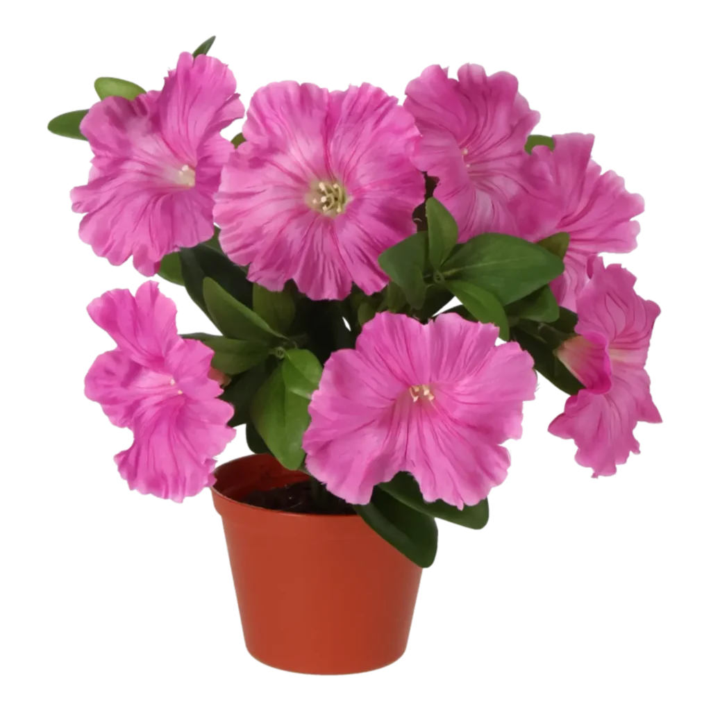 Kunstig petunia rosa - H: 25 cm.