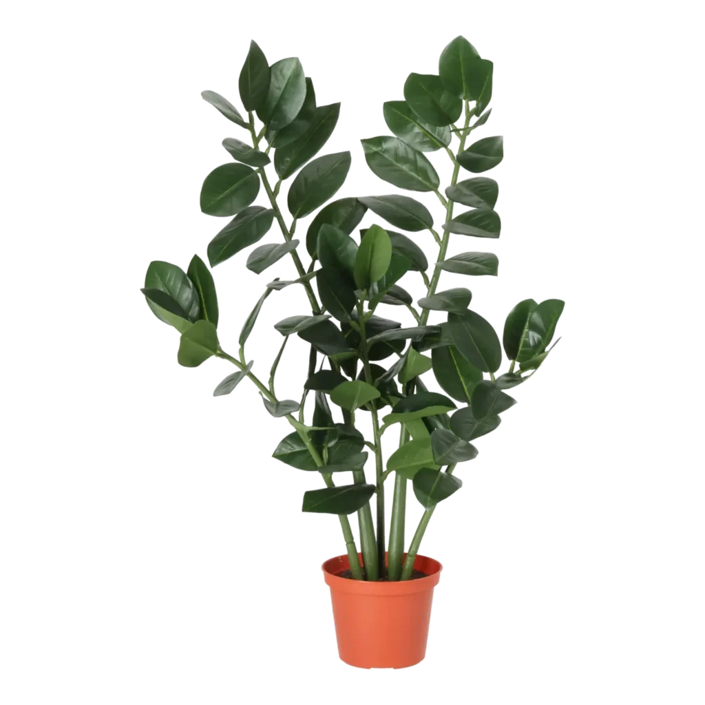 Kunstig Zamioculcas H: 50 cm.