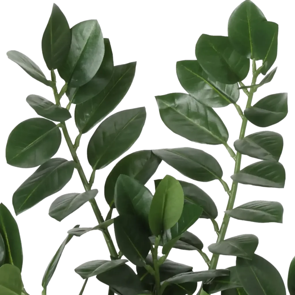 Closeup af Kunstig Zamioculcas H: 50 cm.