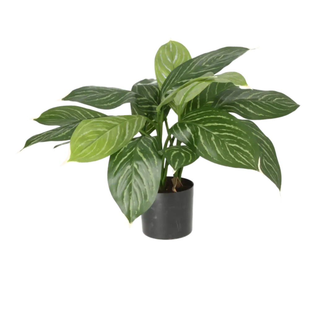 Kunstig Hosta H: 40 cm.