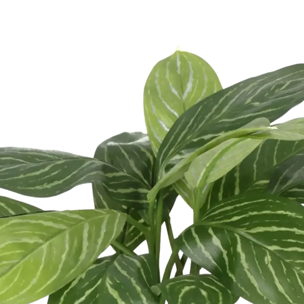 Closeup af Kunstig Hosta H: 40 cm.