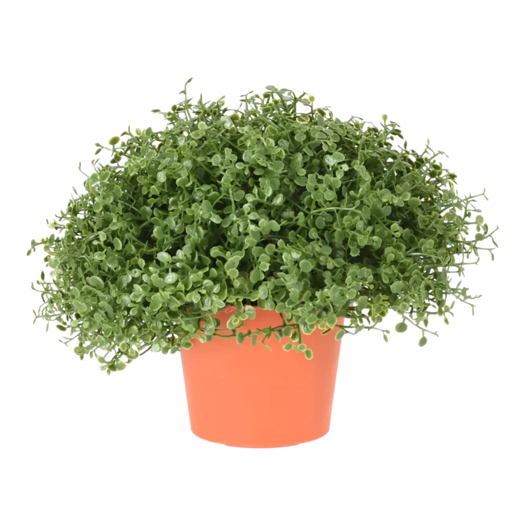 Kunstig Husfred H: 15 cm.