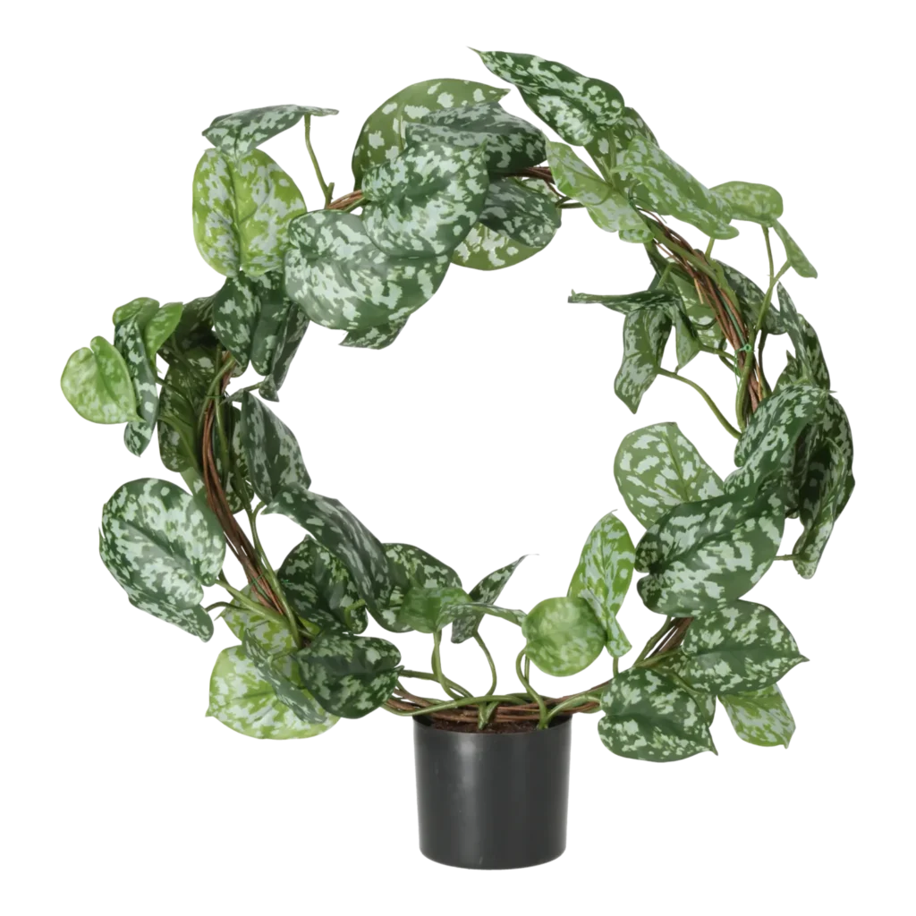 Kunstig Scindapsus ring H: 46 cm.