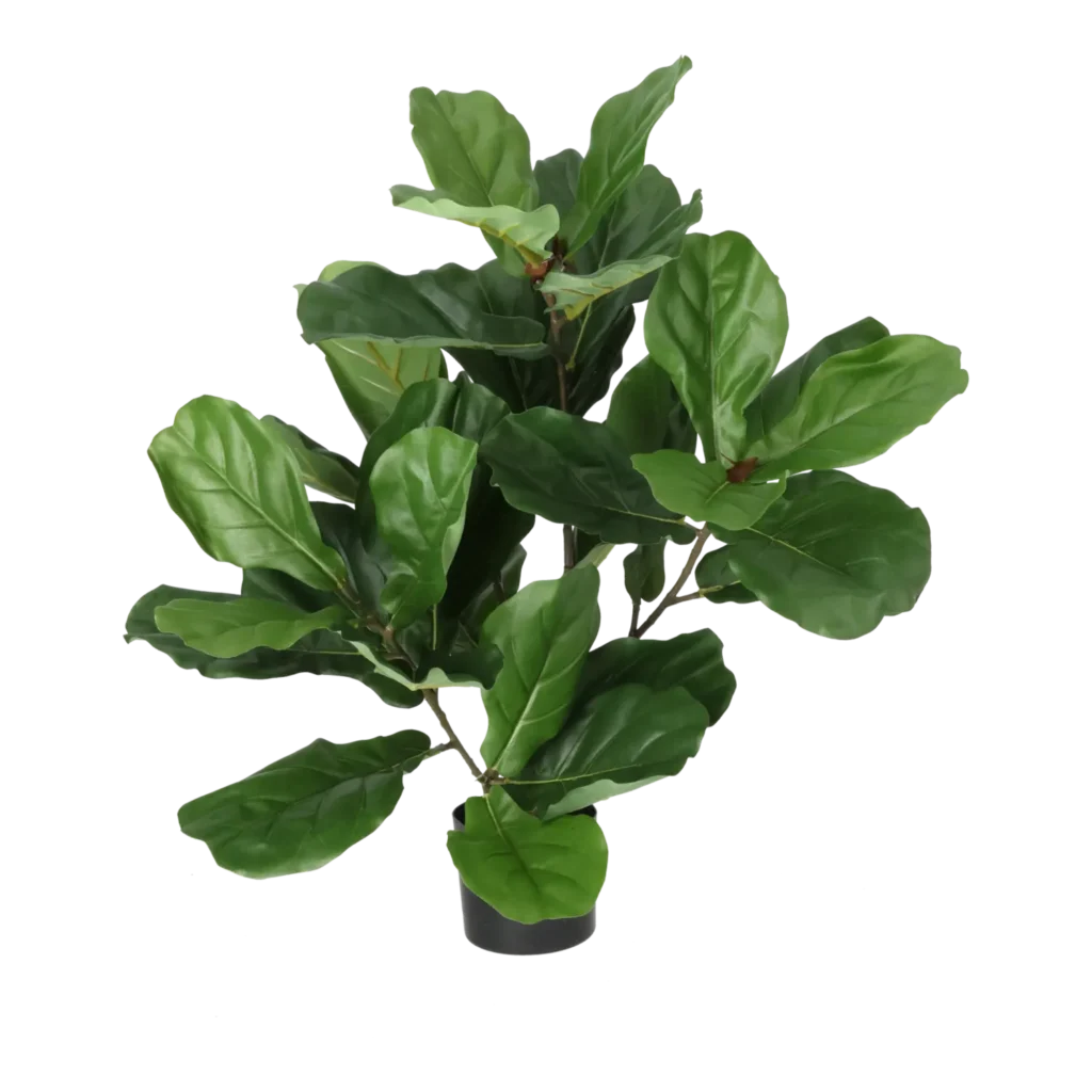 Kunstig fiddleleaf Fig - H: 65 cm.