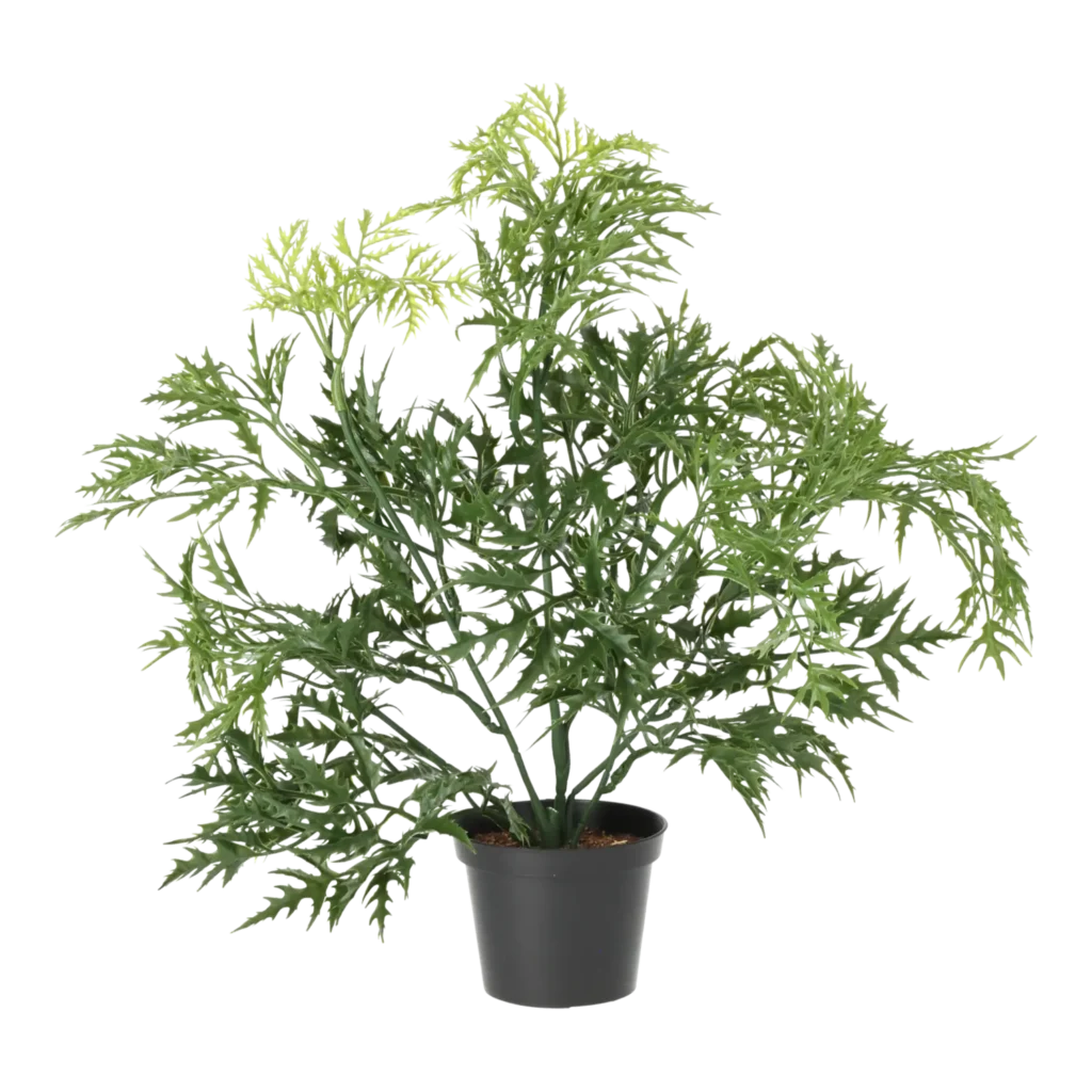 Kunstig Ming Aralia H: 37 cm.