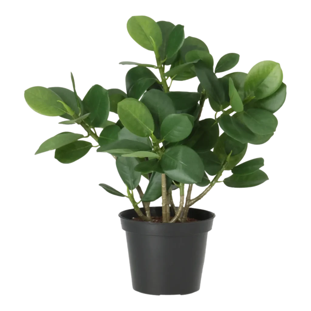 Kunstig Ficus Panda H: 28 cm.