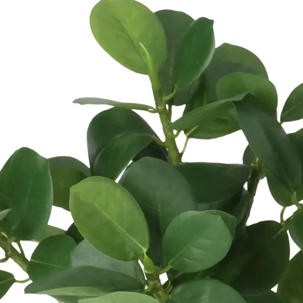 Closeup af Kunstig Ficus Panda H: 28 cm.