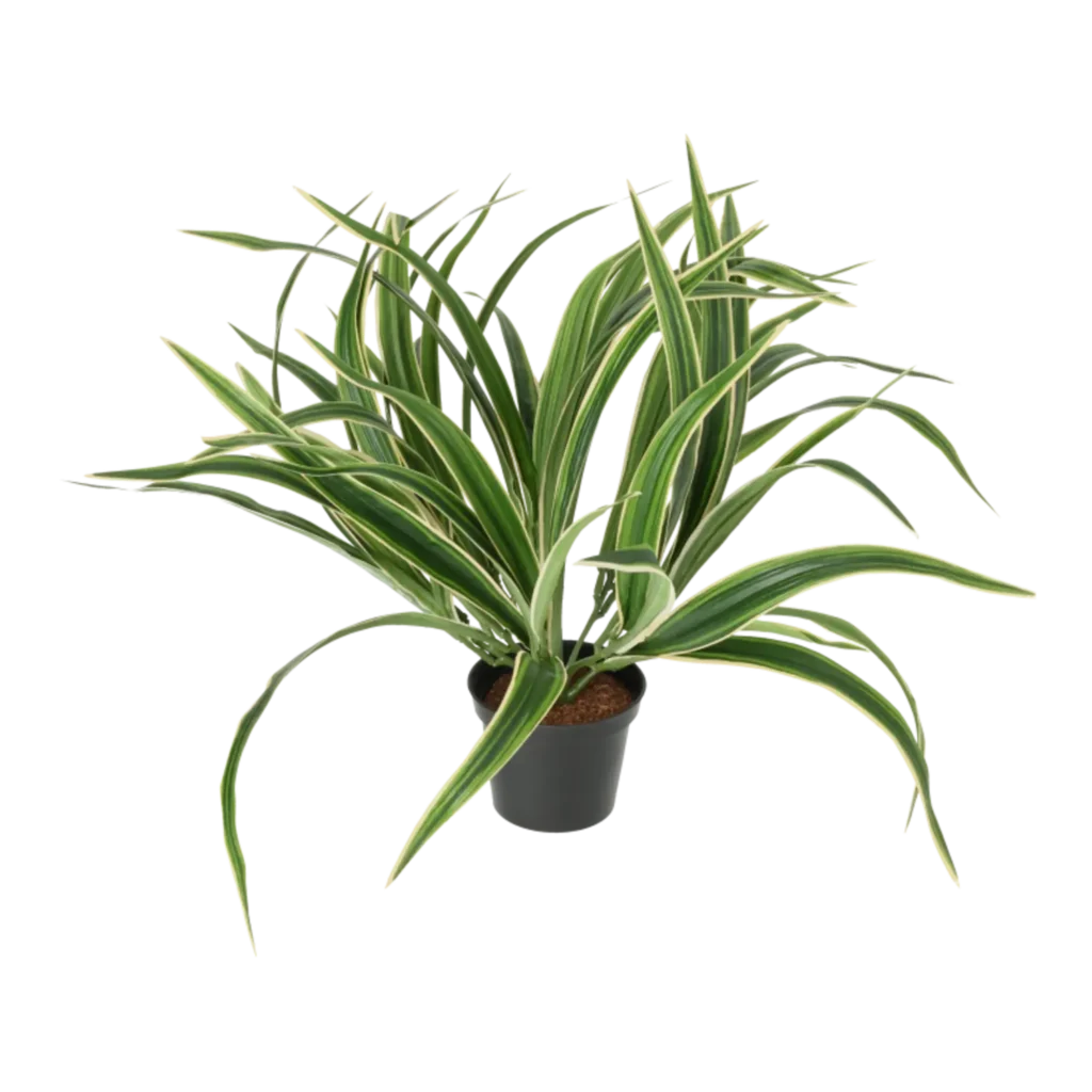 Kunstig Chlorophytum H: 34 cm.