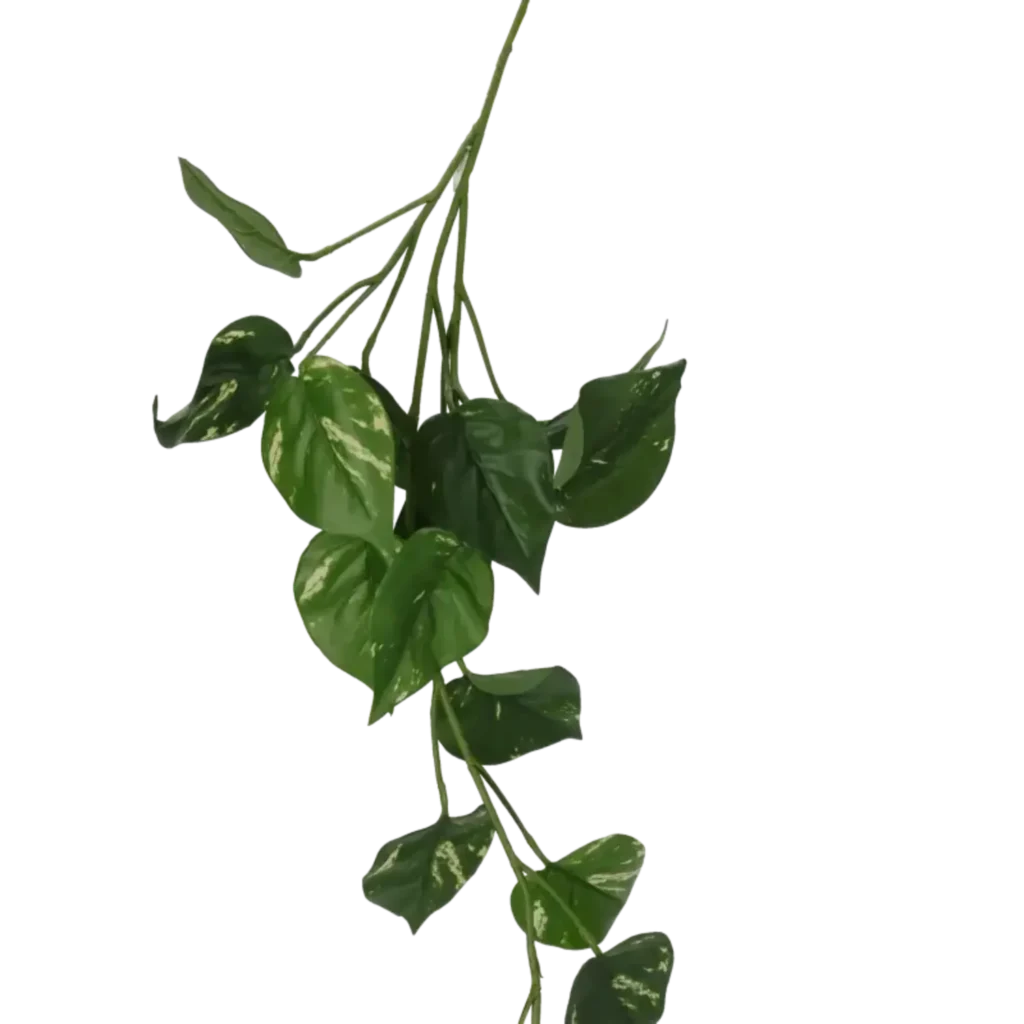 Closeup af Kunstig Pothos ranke L: 115 cm.