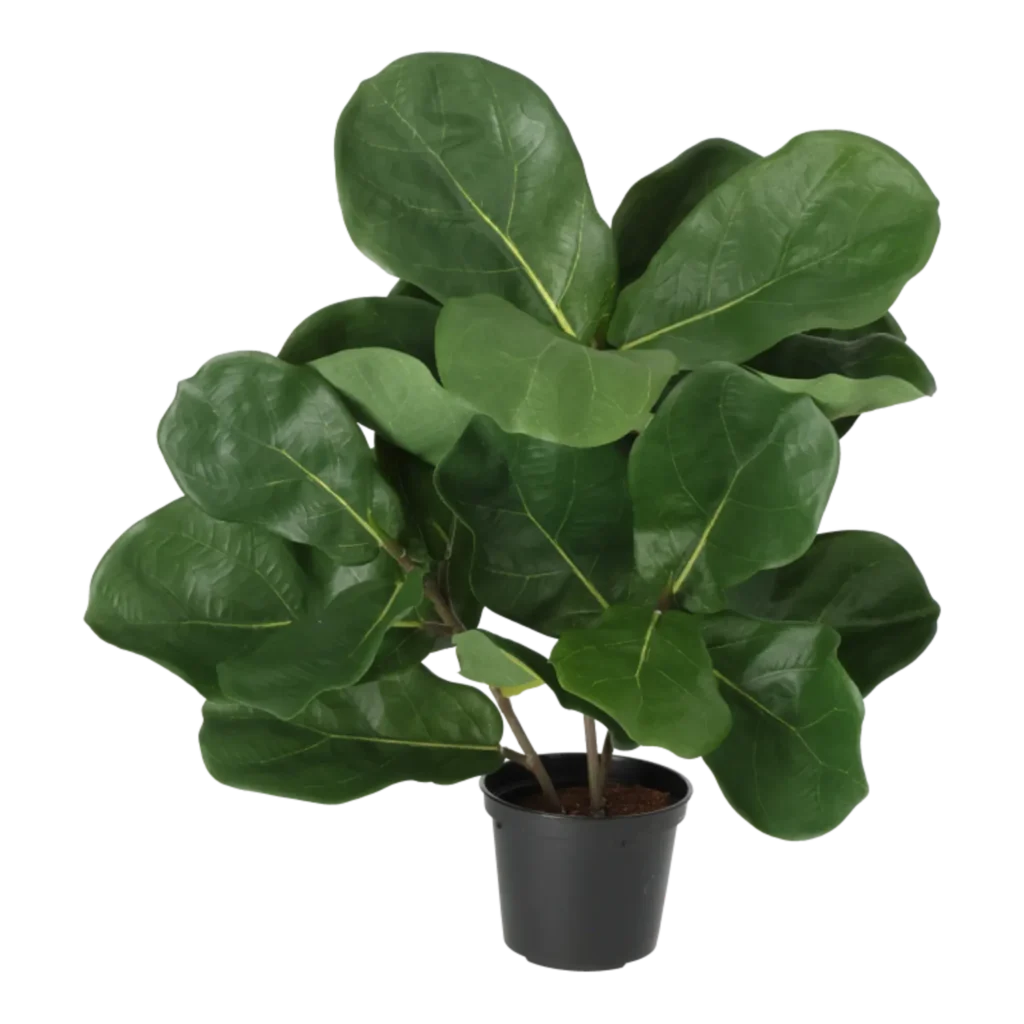 Kunstig fiddleleaf Fig - H: 45 cm.