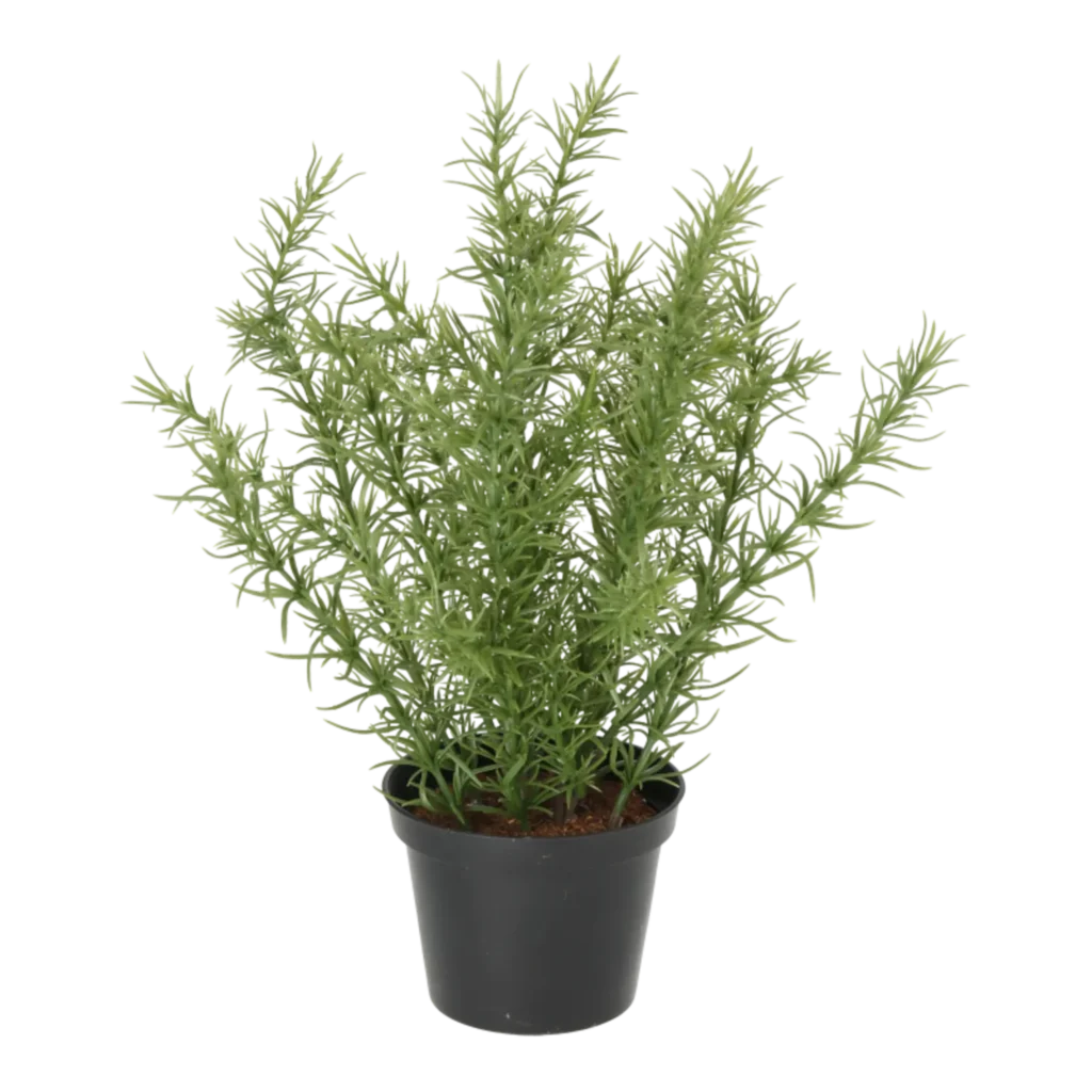 Kunstig Rosmarin H: 30 cm.