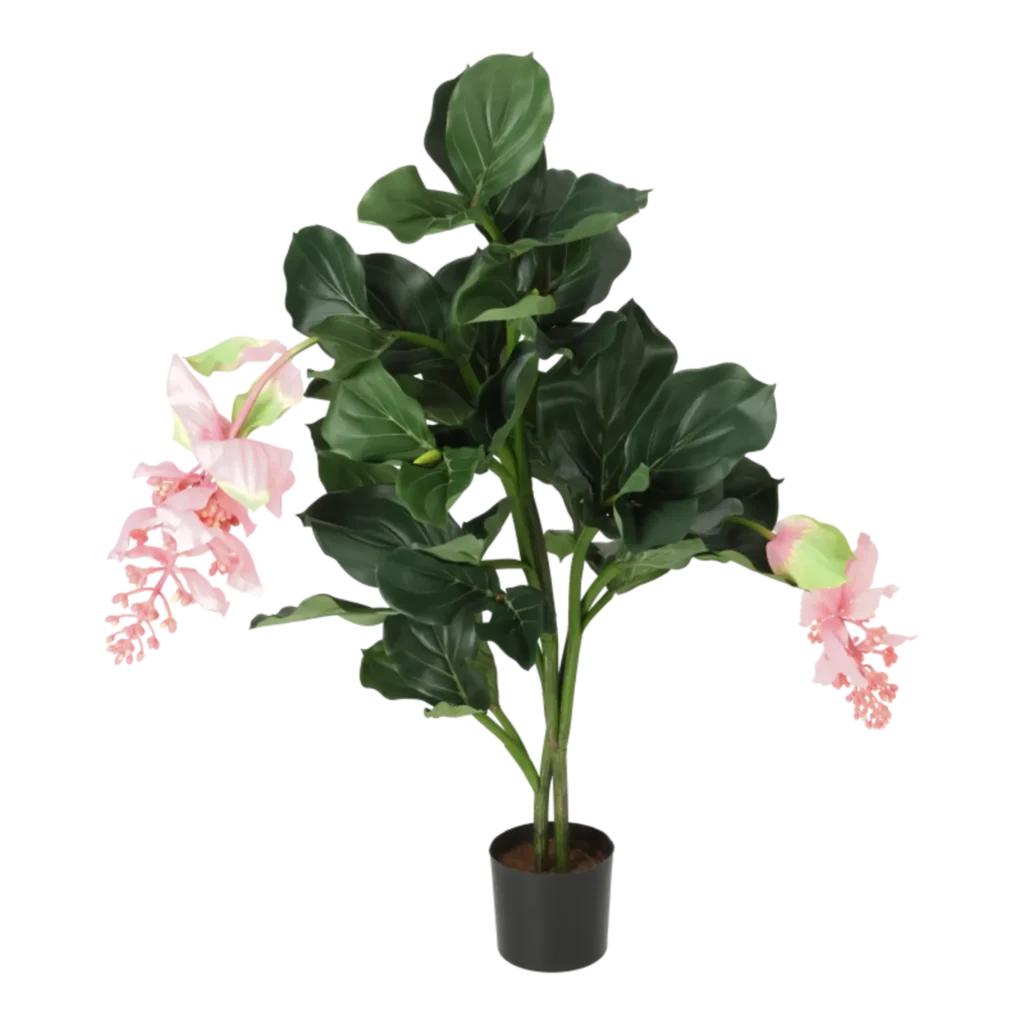Kunstig Medinilla Magnifica H: 62 cm.