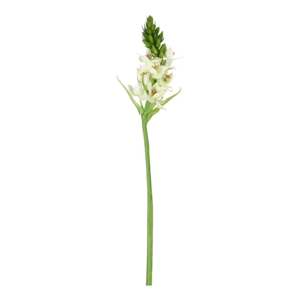 Kunstig Star of Bethlehem - L: 60 cm.