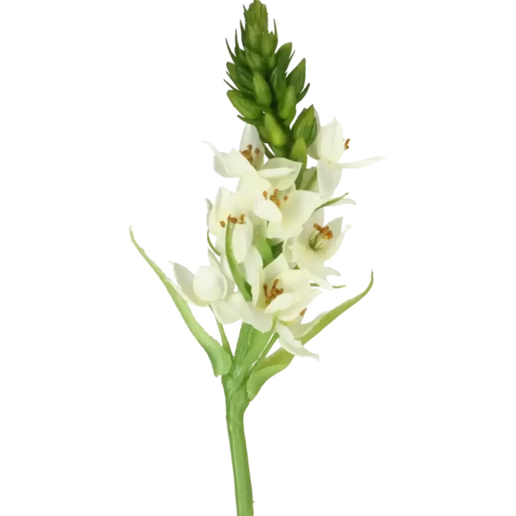 Closeup af Kunstig Star of Bethlehem L: 60 cm.