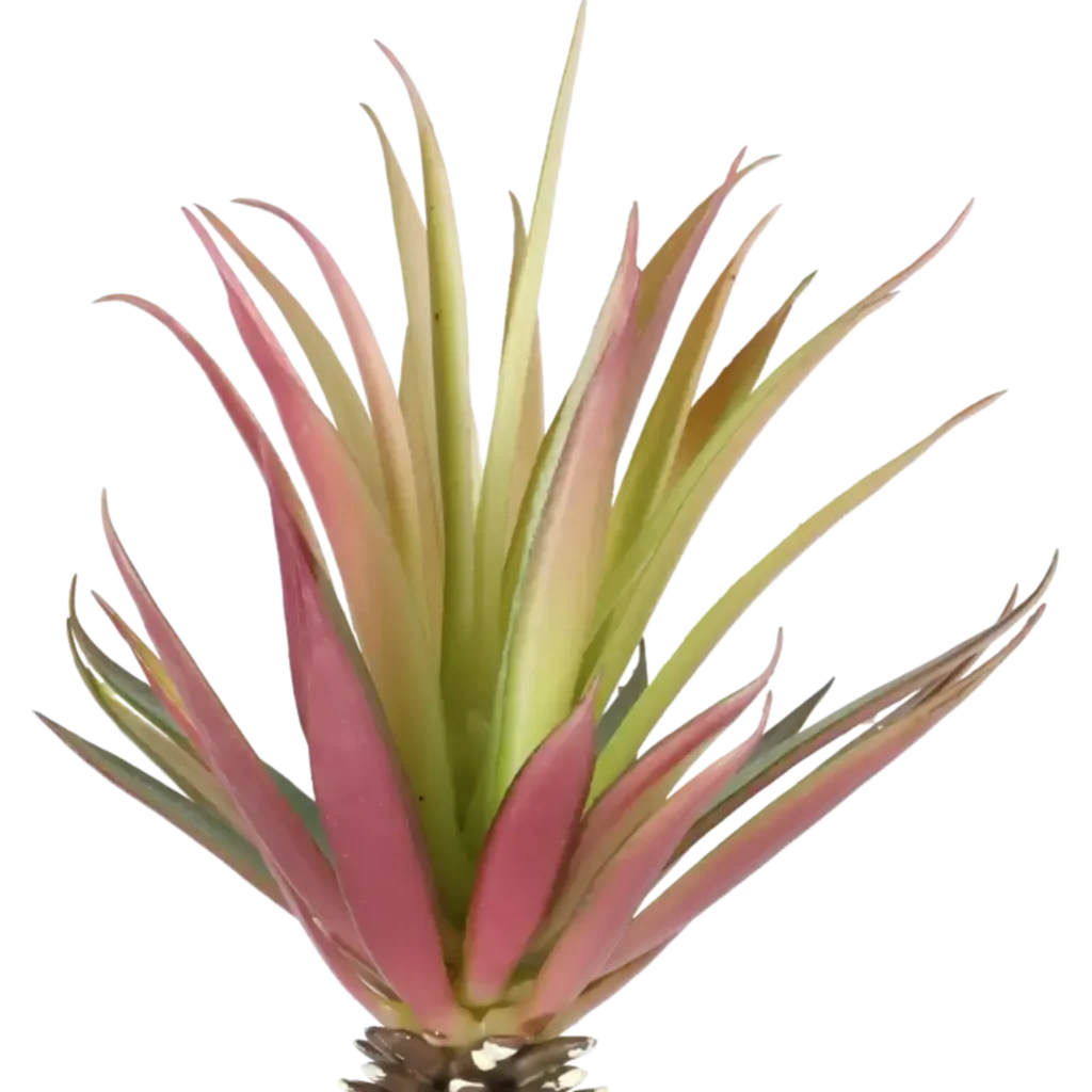 Closeup af Kunstig Agave H: 25 cm.