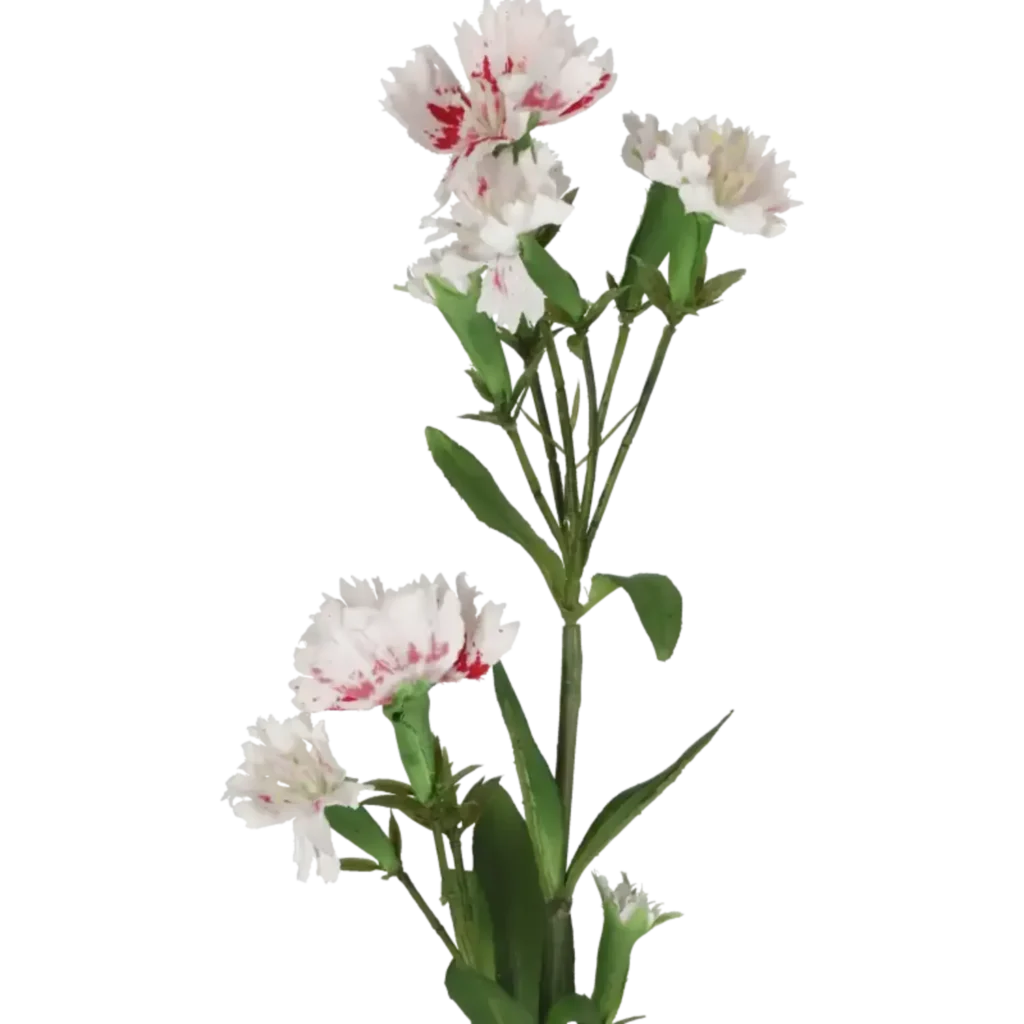 Closeup af Kunstig Dianthus L: 47 cm.