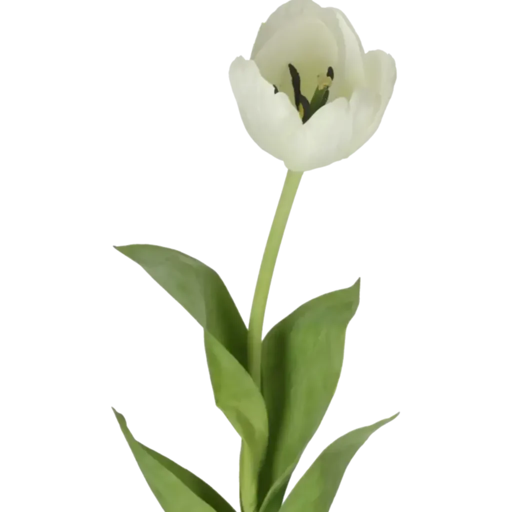 Closeup af Kunstig Tulipan L: 68 cm.