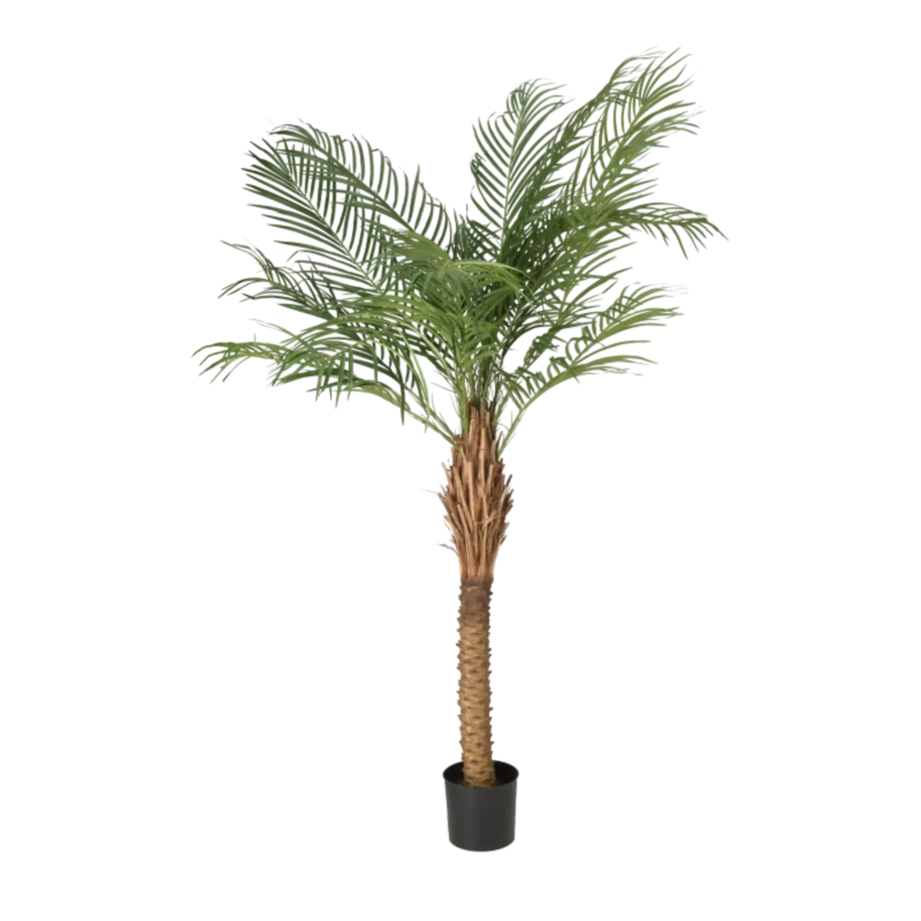 Kunstig Phoenix palme H: 150 cm.