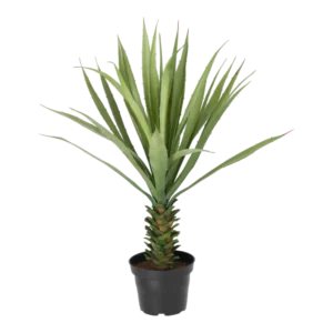 Kunstig Agave H: 40 cm.