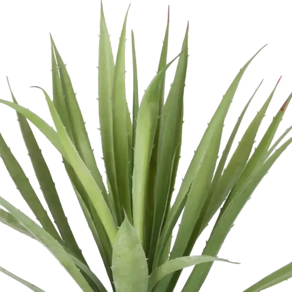 Closeup af Kunstig Agave H: 40 cm.